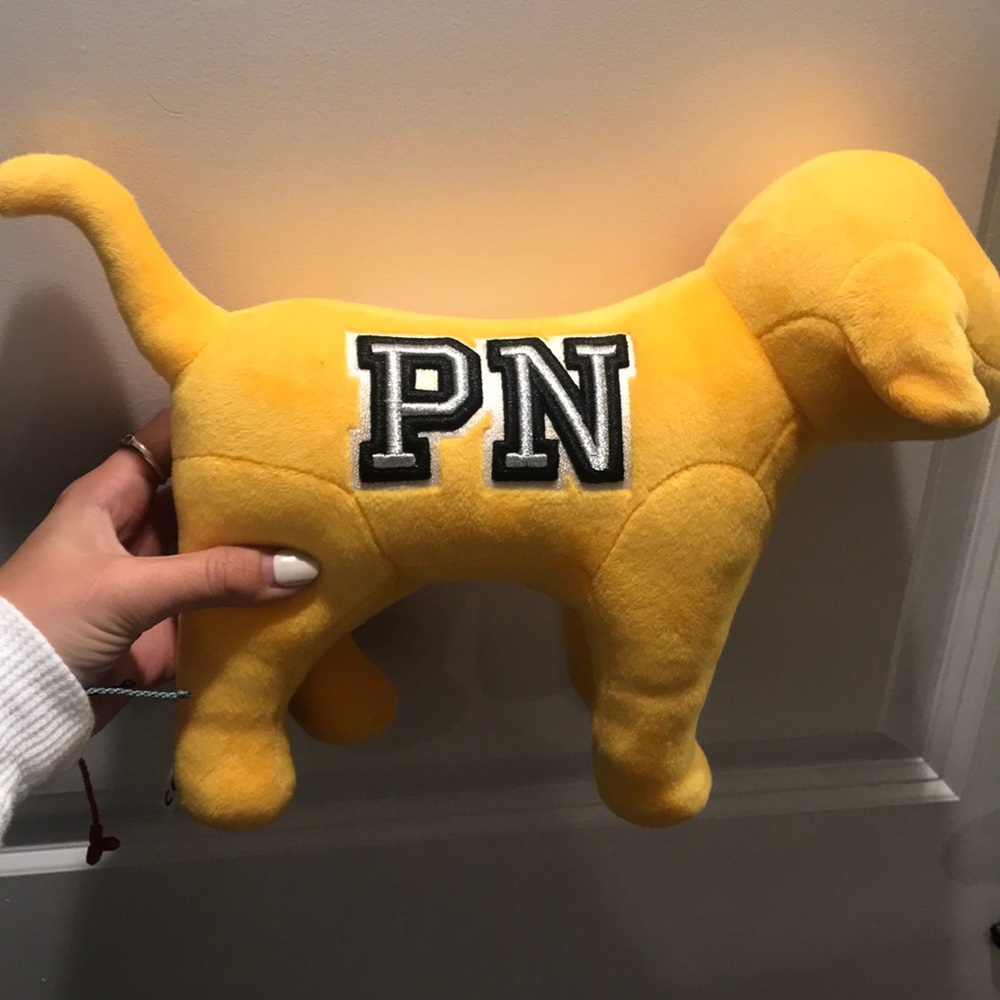 VS Pink nation dog